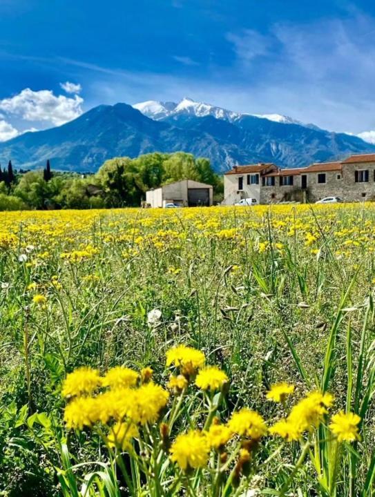 Gite Le Canigou 3* Dans Un Mas Typique Catalan Prada de Conflent Exterior foto